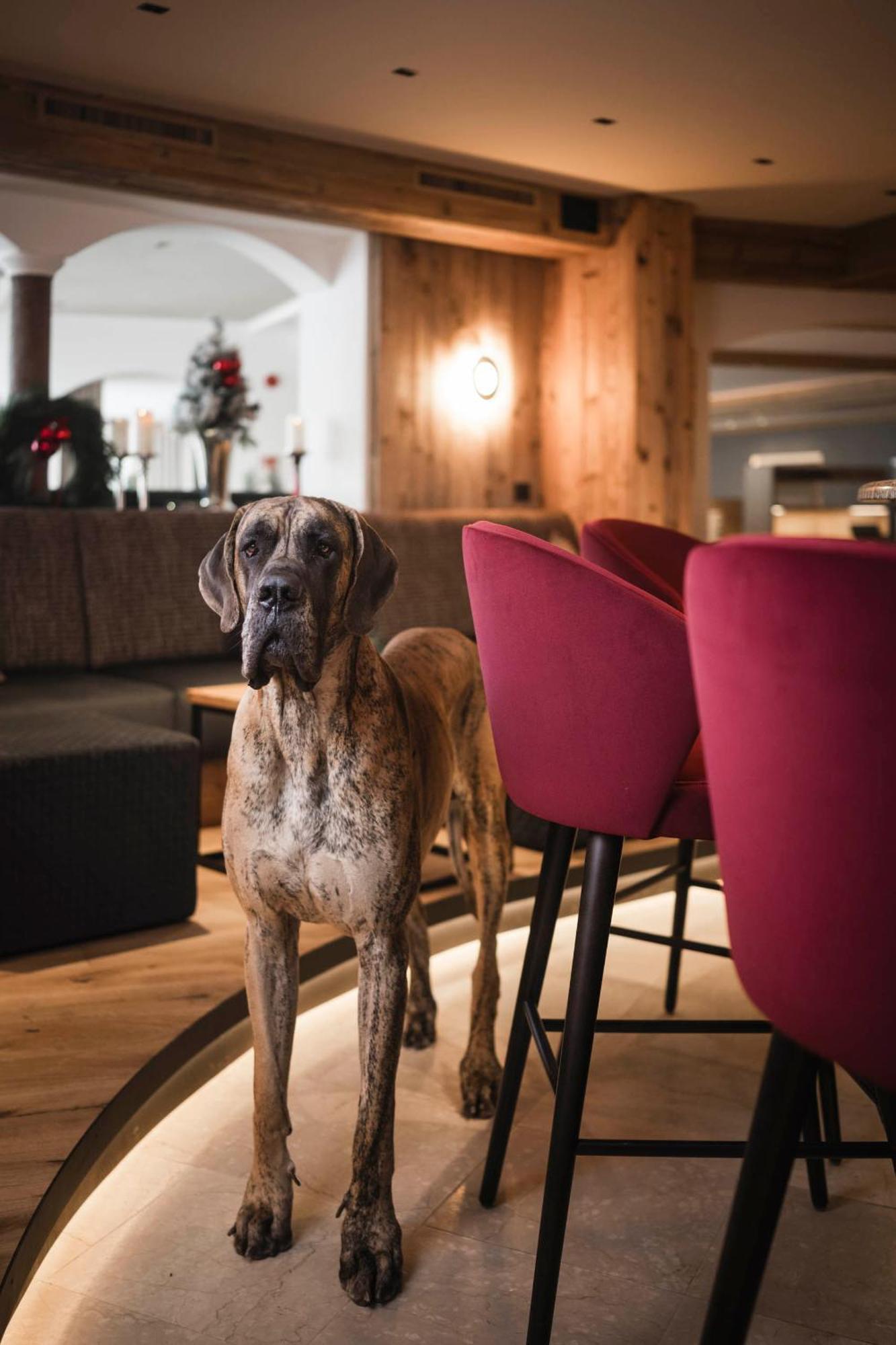 Alpenheim Charming & Spa Hotel Ortisei Bagian luar foto